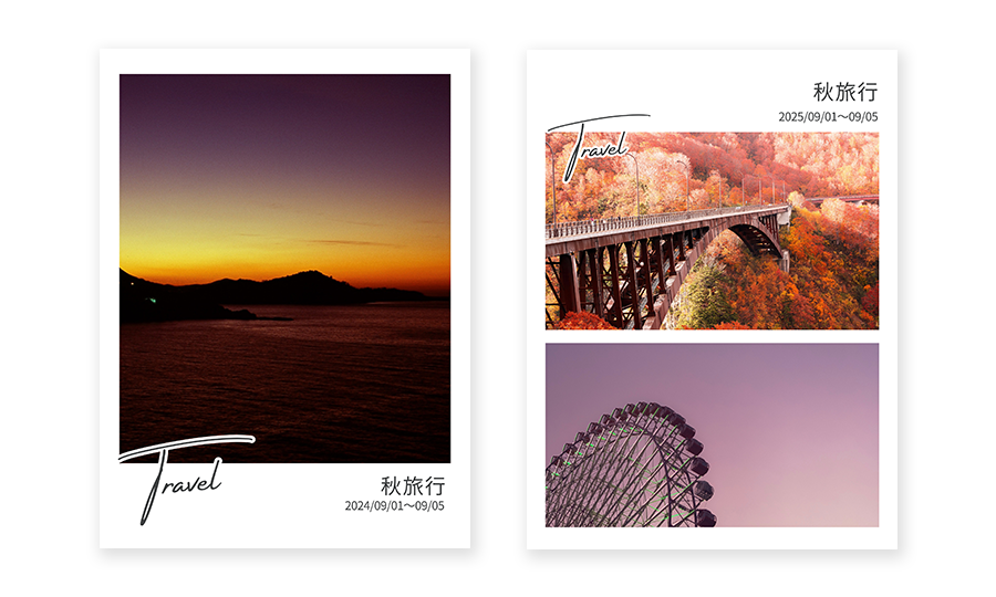 Travel Cover