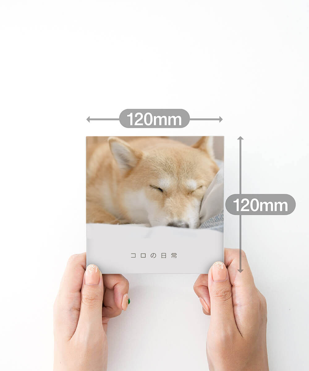 手軽につくれる