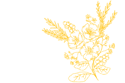 終活・生前整理に。家族へ、自分へ残すメモリアルフォトブック