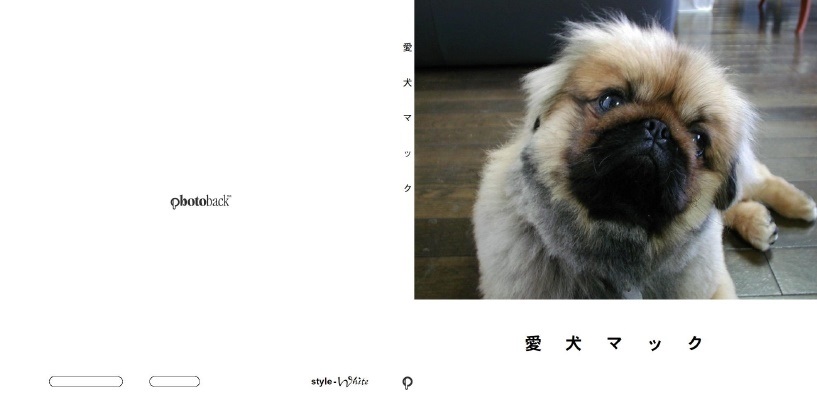 百々世草の作品 愛犬マック フォトブック フォト 写真 アルバム作成ならphotoback