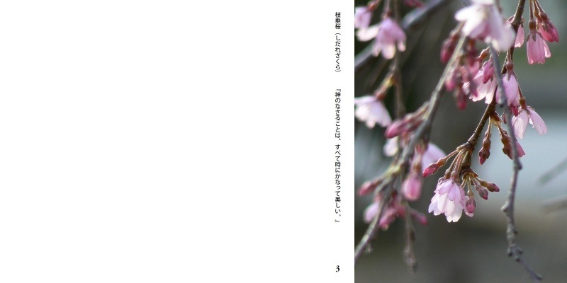 海の作品 春 夏 秋 冬 花の詩 フォトブック フォト 写真 アルバム作成ならphotoback