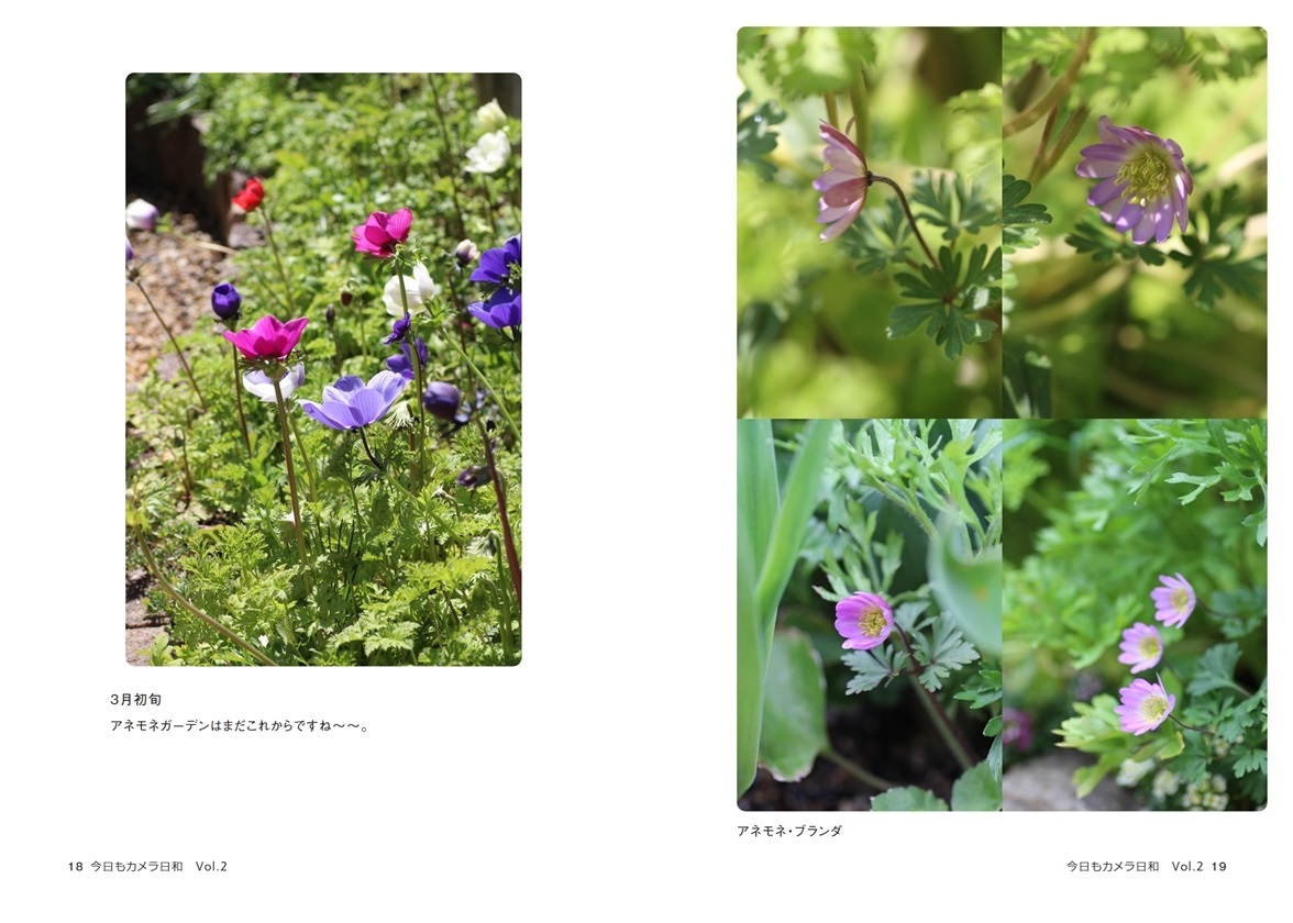 Alice Gimelの作品 今日もカメラ日和 Vol 2 フォトブック フォト 写真 アルバム作成ならphotoback