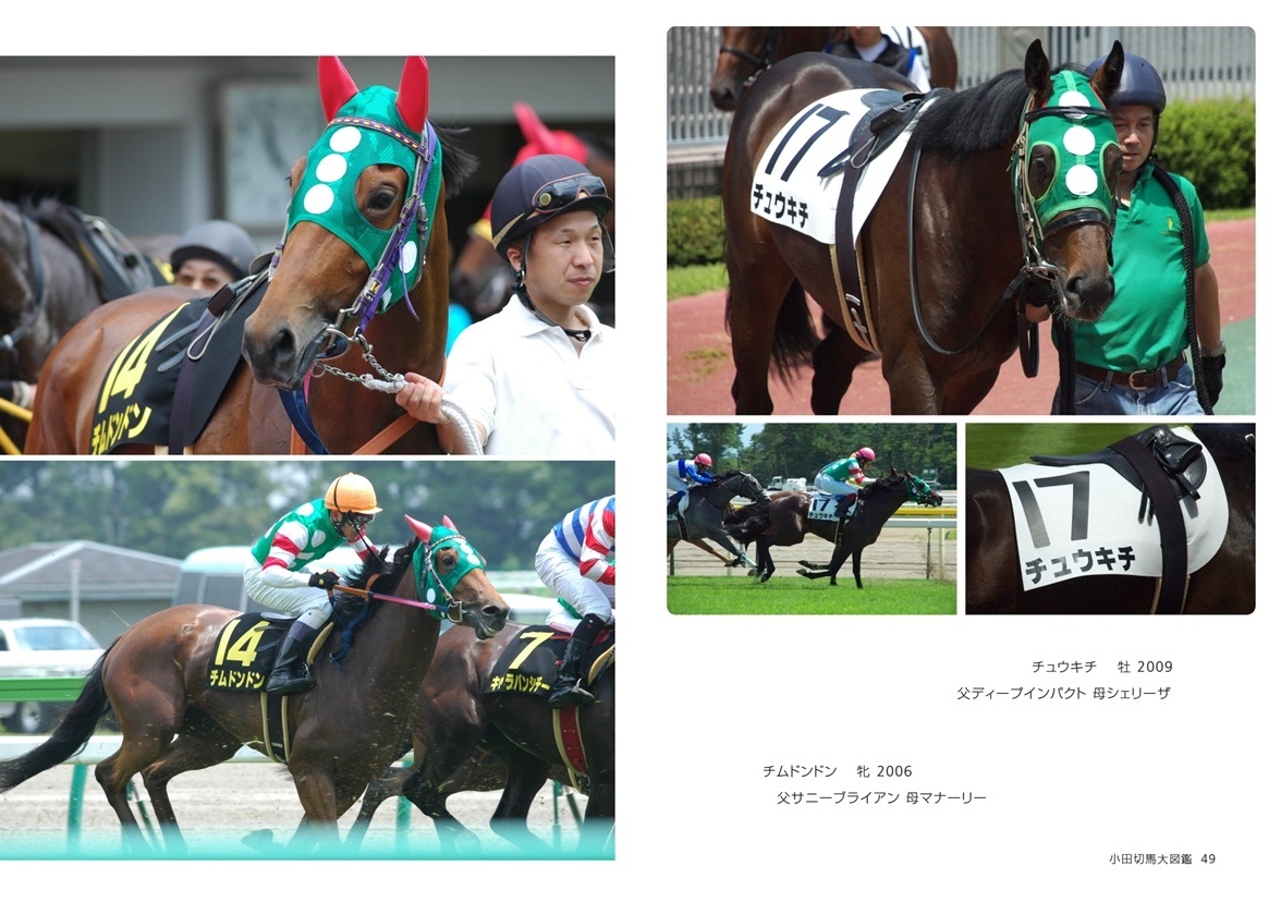 25 Off ディープインパクトのフォトブック アート エンタメ ホビー