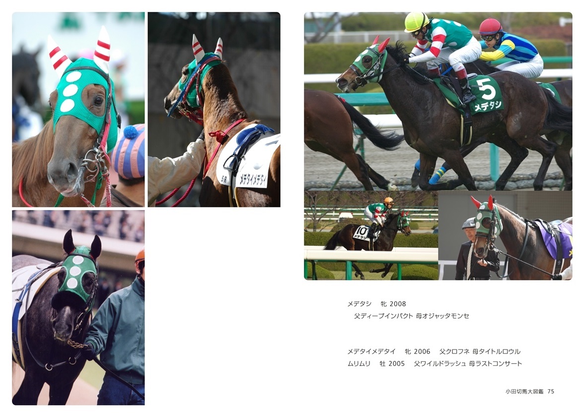 25 Off ディープインパクトのフォトブック アート エンタメ ホビー