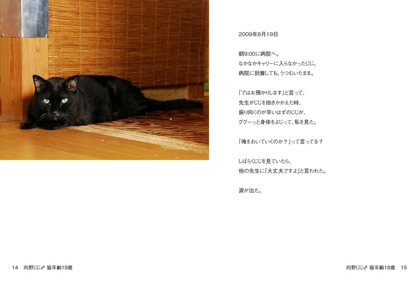 向野桜の作品 向野じじ 猫年齢18歳 フォトブック フォト 写真 アルバム作成ならphotoback