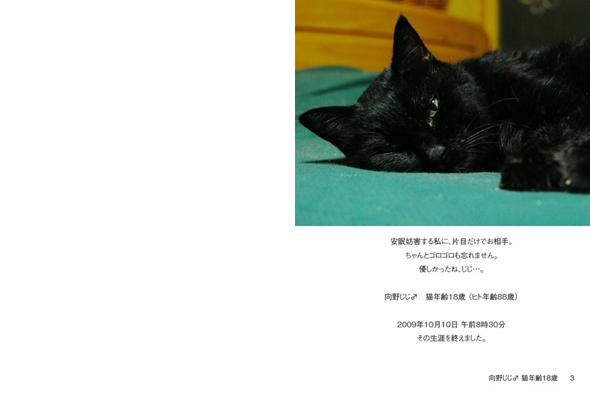 向野桜の作品 向野じじ 猫年齢18歳 フォトブック フォト 写真 アルバム作成ならphotoback