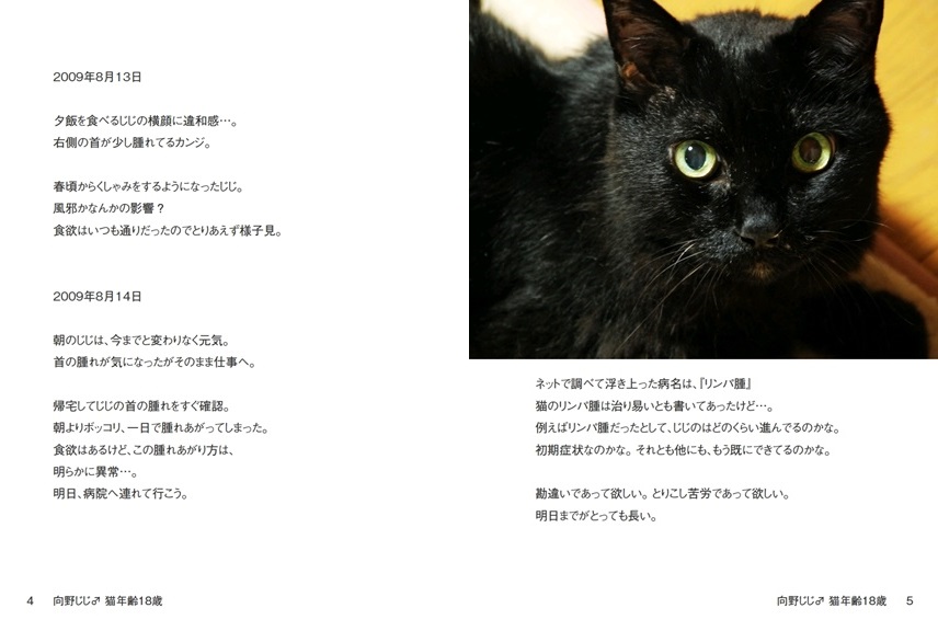 向野桜の作品 向野じじ 猫年齢18歳 フォトブック フォト 写真 アルバム作成ならphotoback