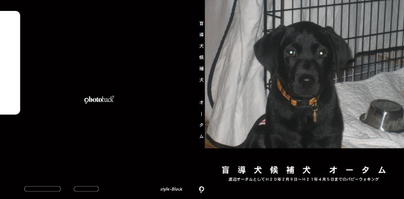 Tanokisoの作品 盲導犬候補犬 オータム フォトブック フォト 写真 アルバム作成ならphotoback