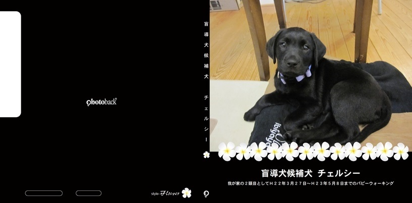 チェルシー家の作品 盲導犬候補犬 チェルシー フォトブック フォト 写真 アルバム作成ならphotoback