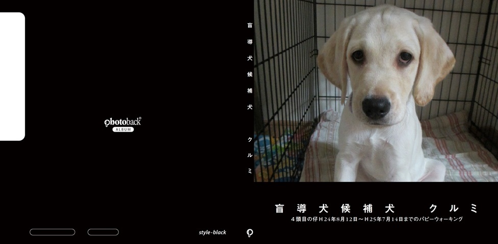 わたこの作品 盲導犬候補犬 クルミ フォトブック フォト 写真 アルバム作成ならphotoback