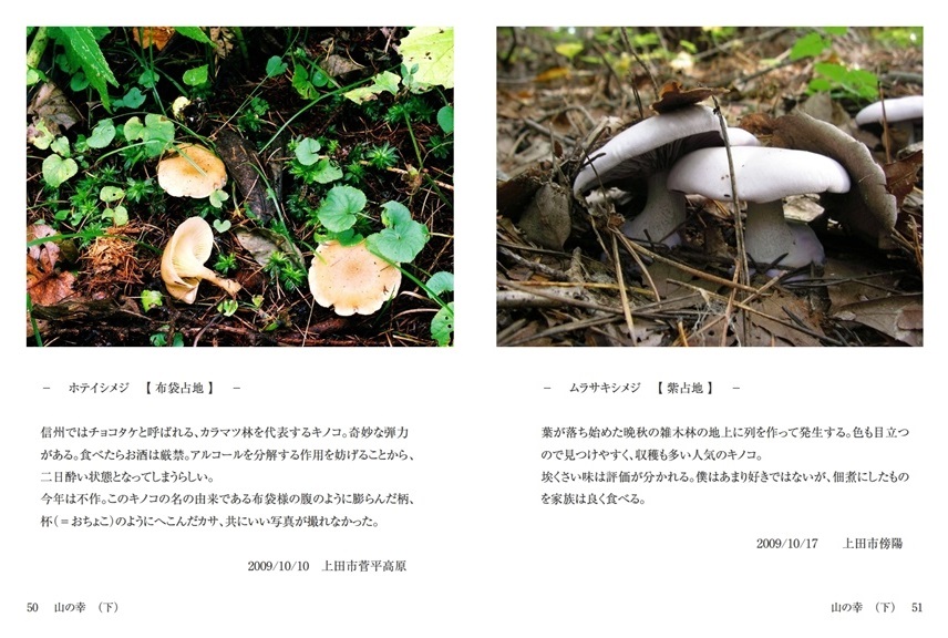 りょうの作品 山の幸 下 フォトブック フォト 写真 アルバム作成ならphotoback