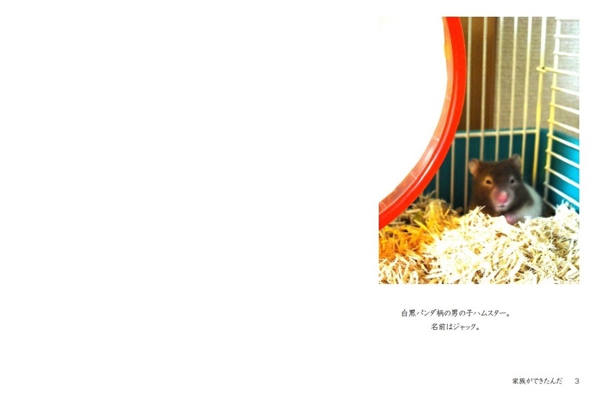 うどおまきの作品 家族ができたんだ フォトブック フォト 写真 アルバム作成ならphotoback