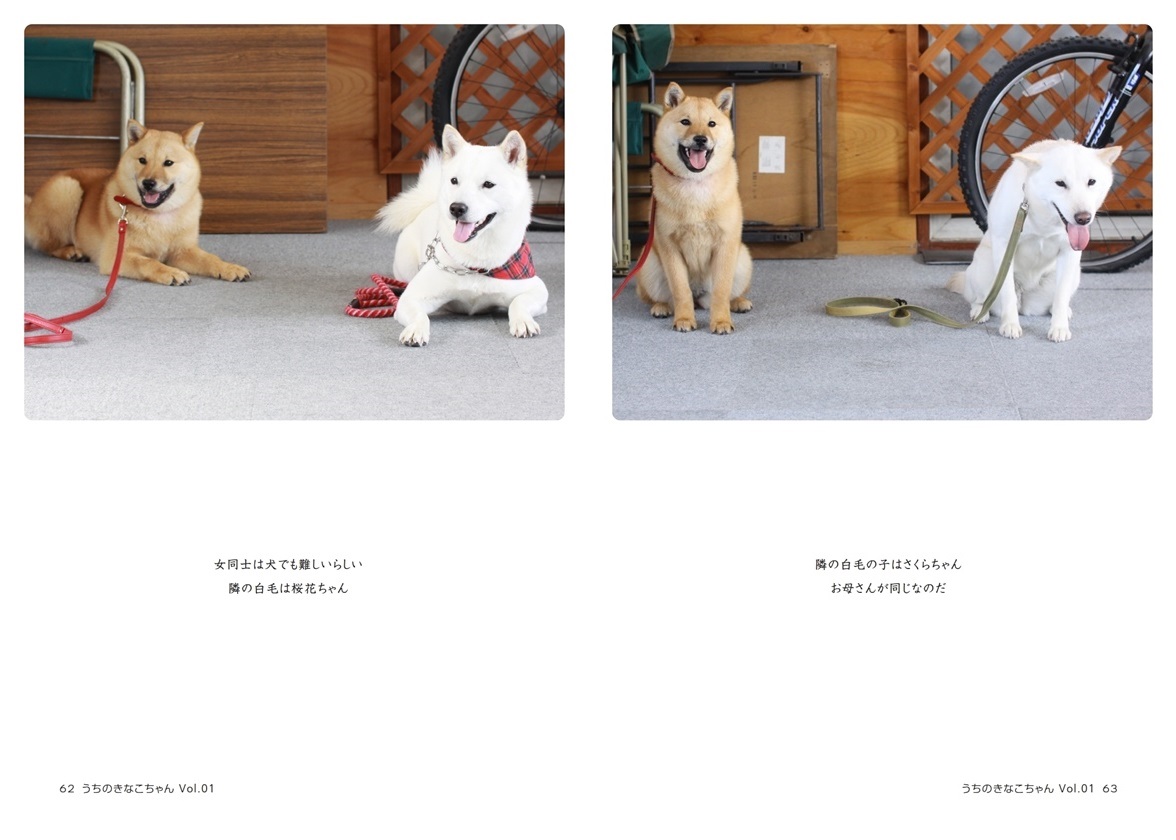 Mycoの作品 うちのきなこちゃん Vol 01 フォトブック フォト 写真 アルバム作成ならphotoback