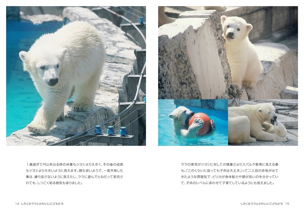 Kazumiの作品 しろくまララとかわいいこどもたち フォトブック フォト 写真 アルバム作成ならphotoback