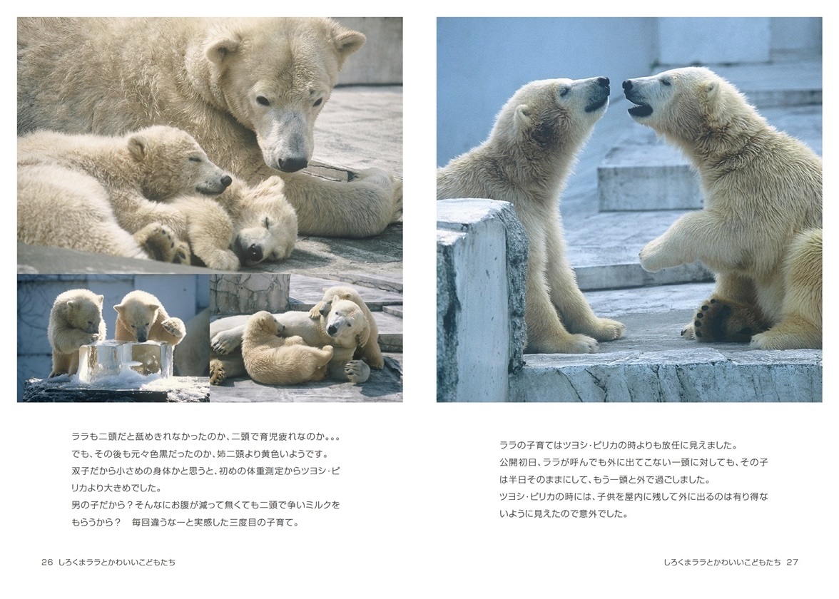 Kazumiの作品 しろくまララとかわいいこどもたち フォトブック フォト 写真 アルバム作成ならphotoback
