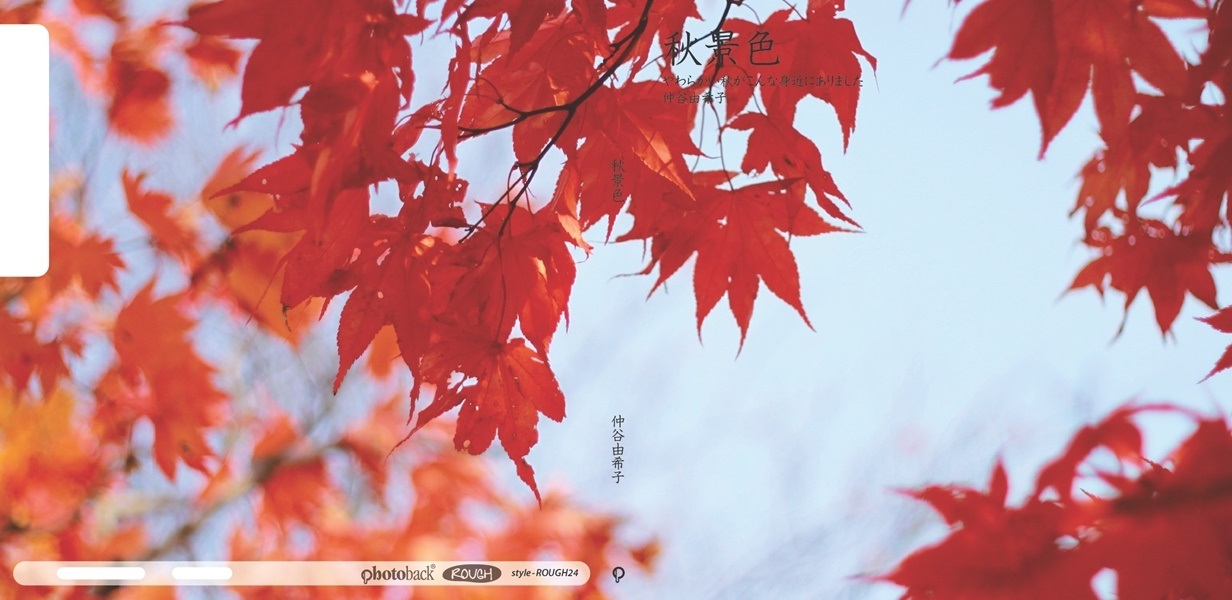 Sorayukiの作品 秋景色 フォトブック フォト 写真 アルバム作成ならphotoback