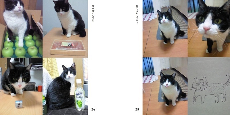 しまねこの作品 Mutio 徒然 フォトブック フォト 写真 アルバム作成ならphotoback