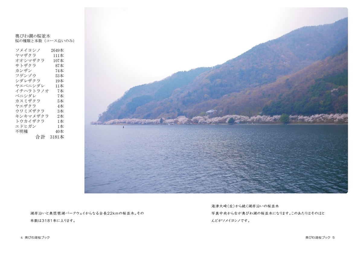 橋本勘の作品 奥びわ湖桜ブック フォトブック フォト 写真 アルバム作成ならphotoback