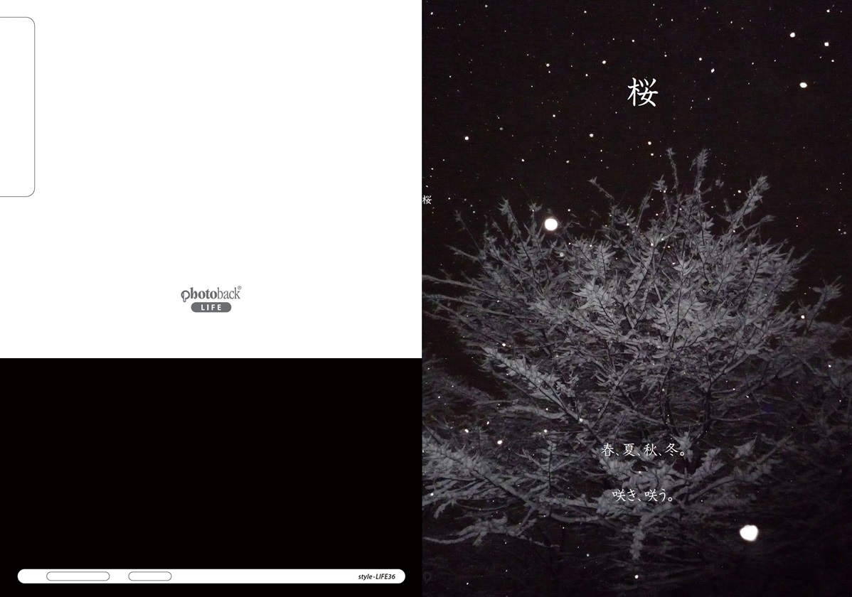 キコの作品 桜 フォトブック フォト 写真 アルバム作成ならphotoback