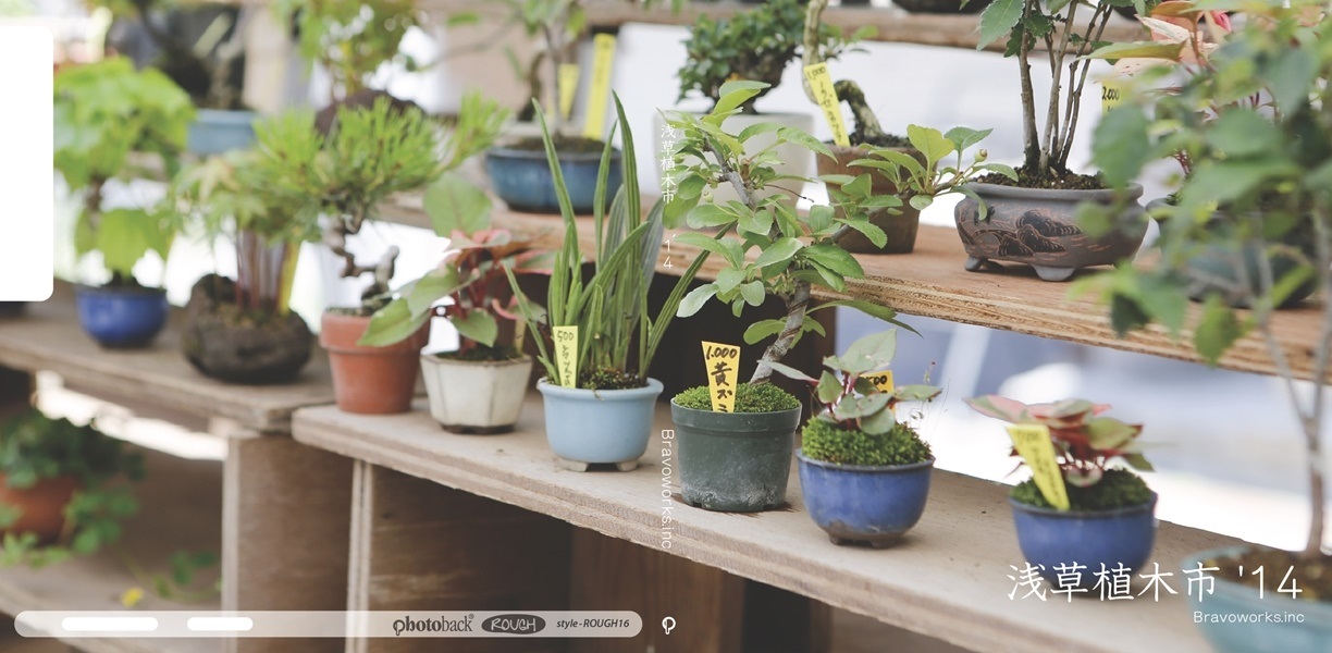 Saiの作品 浅草植木市 14 フォトブック フォト 写真 アルバム作成ならphotoback