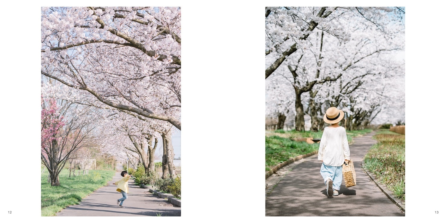 「徒桜」| ジャンル：家族