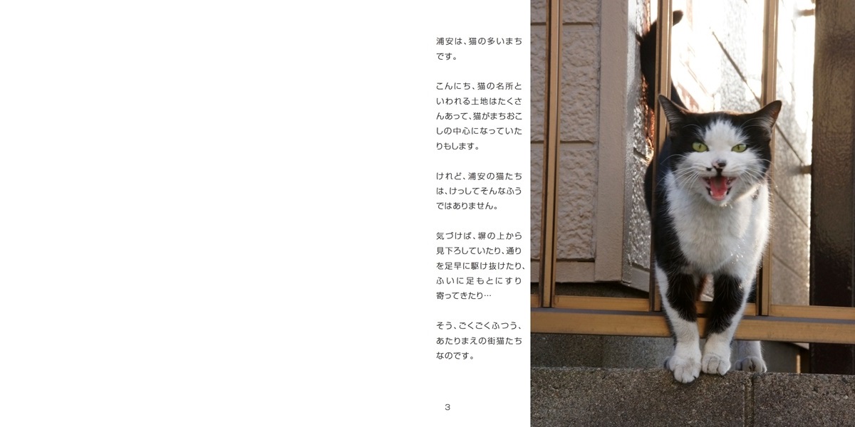 Fixxの作品 うらやすの猫 フォトブック フォト 写真 アルバム作成ならphotoback