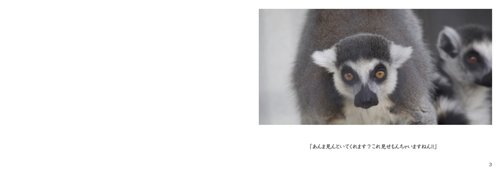 たむたむの作品 動物の気持ち フォトブック フォト 写真 アルバム作成ならphotoback