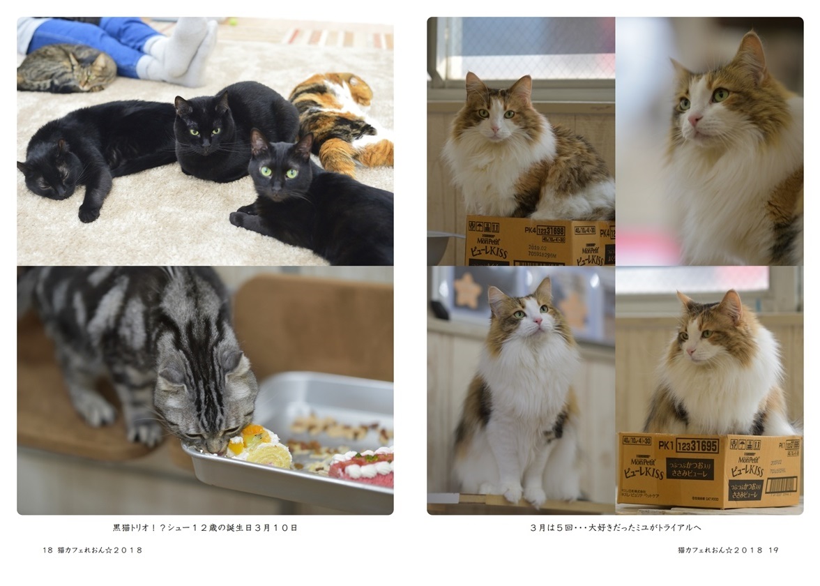 横浜のあほう鳥の作品 猫カフェれおん ２０１８ フォトブック フォト 写真 アルバム作成ならphotoback