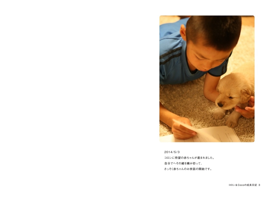 Cocoron Yuriの作品 コロン Cocoの成長日記 フォトブック フォト 写真 アルバム作成ならphotoback