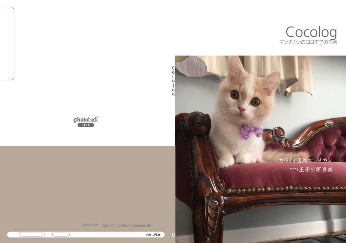 マンチカンのココ王子の作品 Cocolog フォトブック フォト 写真 アルバム作成ならphotoback