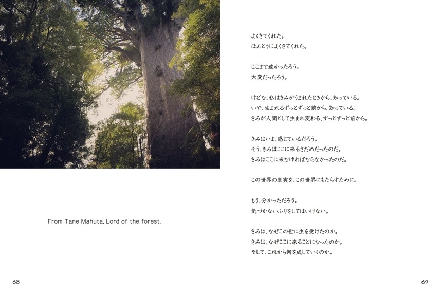 Saoriの作品 蒼き者たちへ フォトブック フォト 写真 アルバム作成ならphotoback
