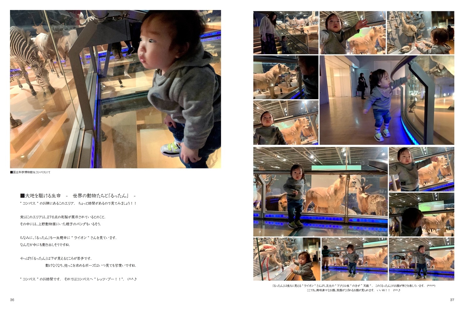 Noviの作品 るったんの大冒険 Vol 2 フォトブック フォト 写真 アルバム作成ならphotoback