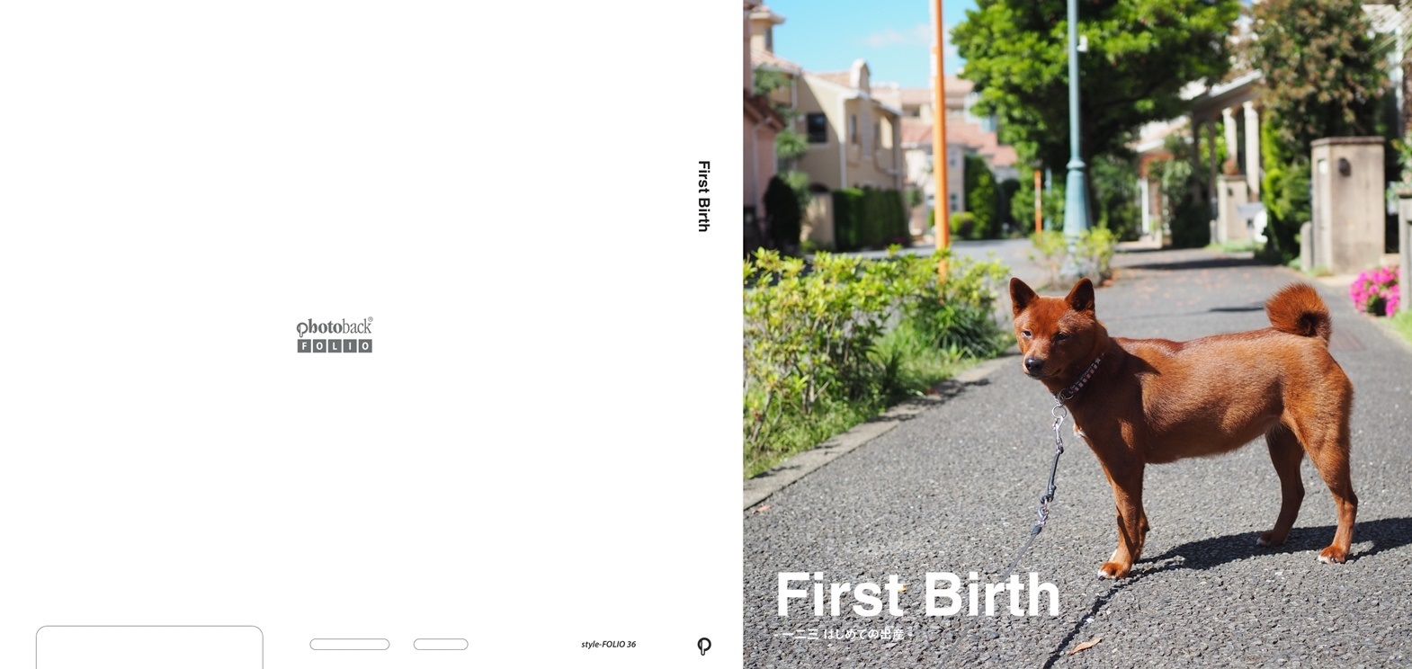 よっしぃの作品 First Birth フォトブック フォト 写真 アルバム作成ならphotoback