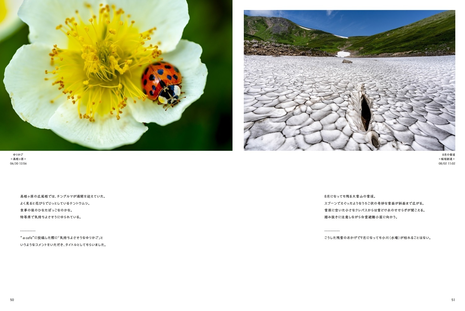 ほわの作品 19 フォトブック フォト 写真 アルバム作成ならphotoback