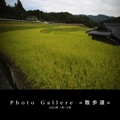 Photo Gallere =散歩道=