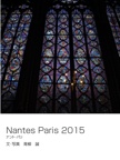 Nantes Paris 2015