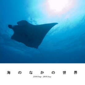 いっさの作品 「海のなかの世界」 | フォトブック・フォト（写真