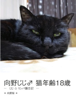 向野桜の作品 「向野じじ♂ 猫年齢18歳」 | フォトブック