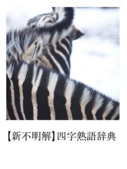 極希少品❗️これで充分四字熟語 極希少品❗️これで充分四字熟語 四字熟語・成句辞典 (講談社