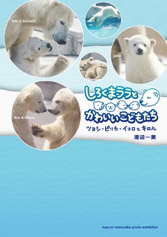 tomomi 　スピールフォーム　キツネの親子　シロクマの家族 kazumiの作品 「しろくまララとかわいいこどもたち」 | フォト