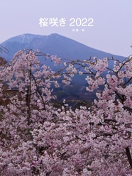 桜咲き 2022