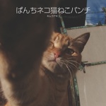 ぱんちネコ猫ねこパンチ