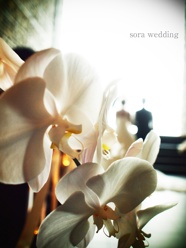 sora wedding 