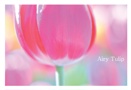 Airy Tulip