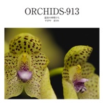 ORCHIDS-913