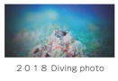 ２０１８ Diving photo