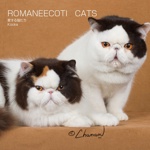 ROMANEECOTI　CATS