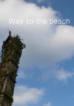 Way to the beach