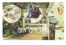 CAT CAT DOG