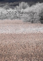 2012 Selection